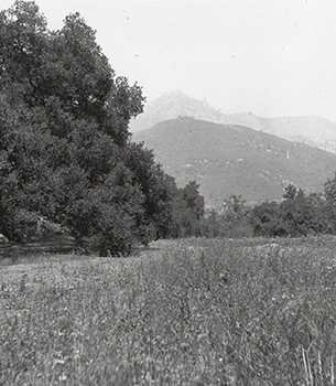 Santa Barbara Botanic Garden