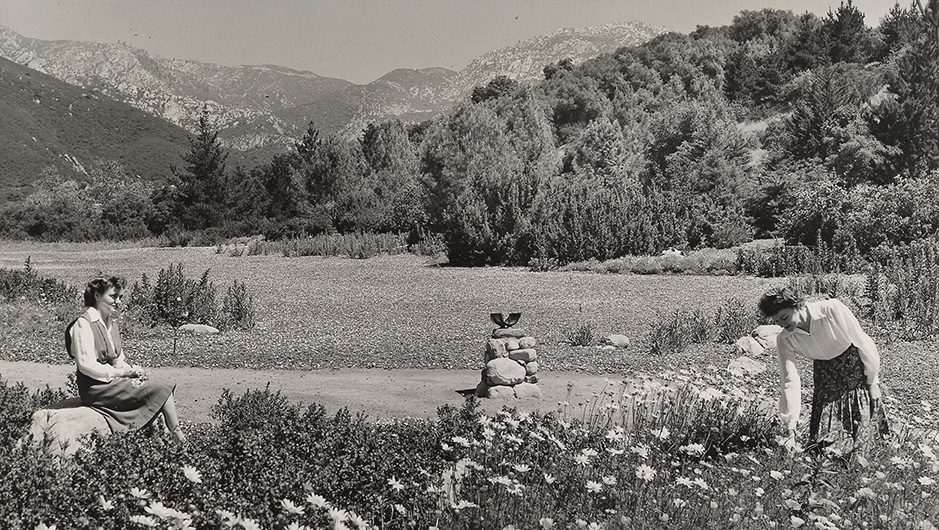 Santa Barbara Botanic Garden Photo 1